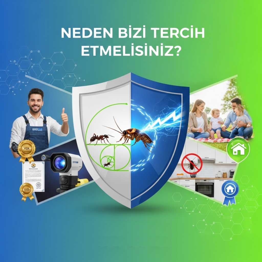 ilaçlama hizmetinde firmamızı neden tercih etmeniz gerekir. Bununla ilgili net maddeler ile cevap veriyoruz